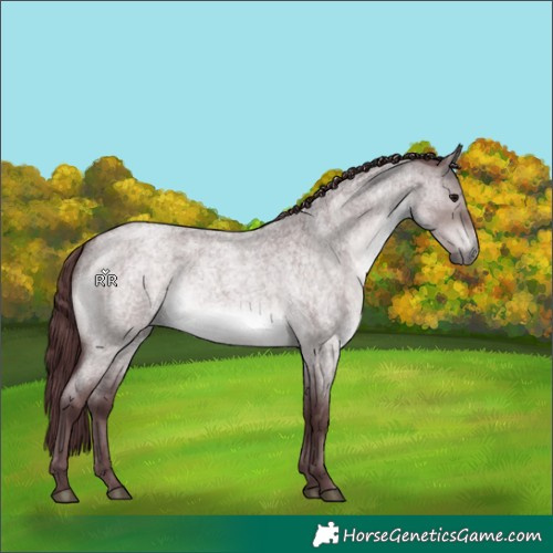 Horse Color:Platinum Chocolate Brown Roan Dun 