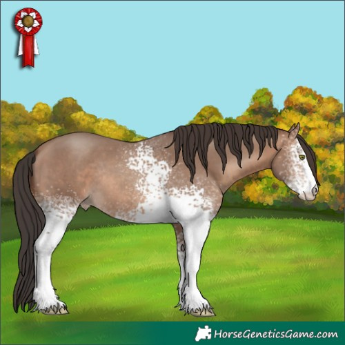 Horse Color:White Spotted Sable Champagne Sabino Rabicano 