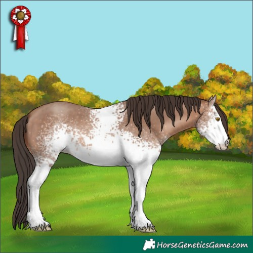 Horse Color:White Spotted Sable Champagne Sabino Rabicano 