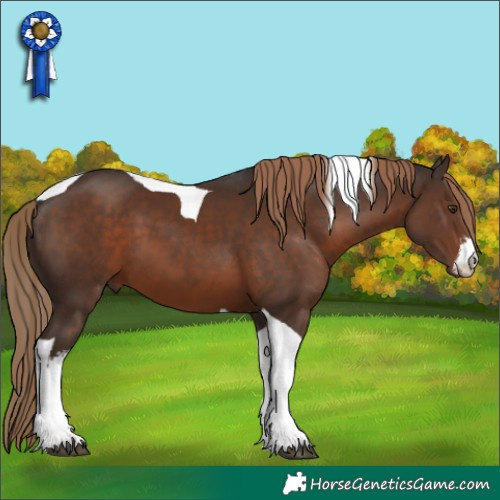 Horse Color:White Spotted Liver Chestnut Tobiano 