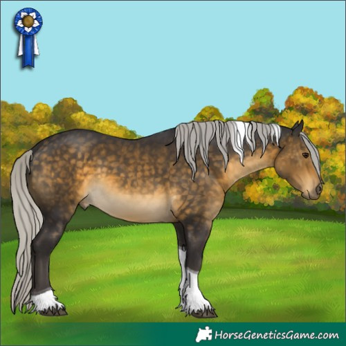 Horse Color:Silver Buckskin Tobiano 