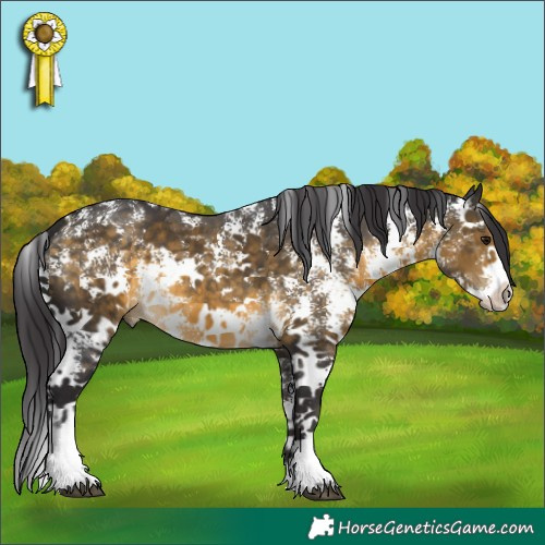 Horse Color:Buckskin Sabino 