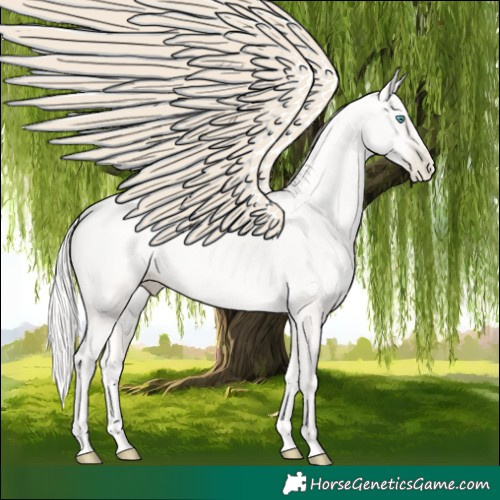 Horse Color:Gold Cream Champagne Pearl 