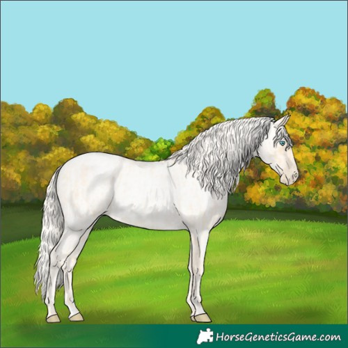 Horse Color:Palomino Roan Pearl and Gold Cream Champagne Roan Pearl