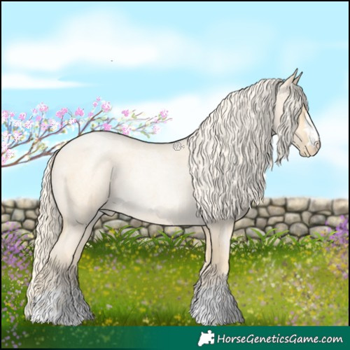 Horse Color:Palomino Roan Pearl and Palomino Roan Pearl
