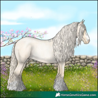Horse Color:Palomino Roan Pearl  and Palomino Roan Pearl 