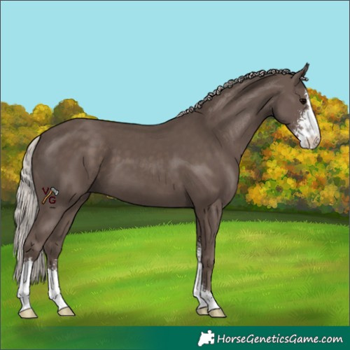 Horse Color:Silver Black Sabino 