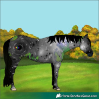 Horse Color:ERROR: UNKNOWN ANOMALY