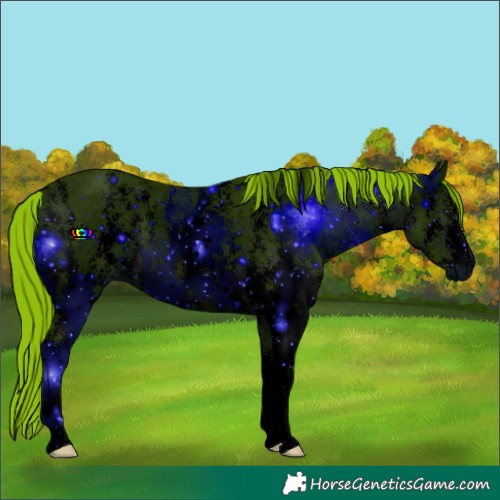 Horse Color:ERROR: UNKNOWN ANOMALY