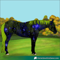 Horse Color:ERROR: UNKNOWN ANOMALY