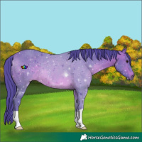 Horse Color:Watercolor Brown 