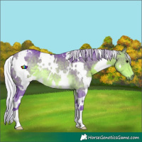 Horse Color:Watercolor White Spotted Silver Buckskin Rabicano 