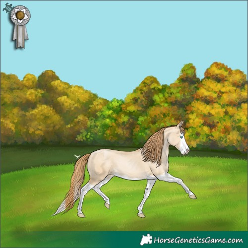 Horse Color:Smoky Grullo Pearl Splash 