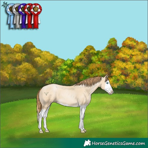 Horse Color:Smoky Grullo Pearl Splash