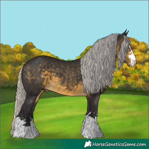 Horse Color:Silver Buckskin 