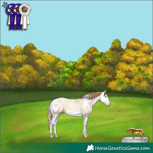 Horse Color:Buckskin Pearl Dun Sabino Splash 