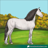 Horse Color:Platinum Amber Champagne Dun Brindle 