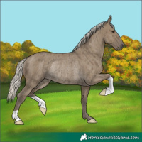 Horse Color:Silver Smoky Grullo Rabicano Brindle 