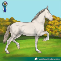 Horse Color:Smoky Creme Dun 