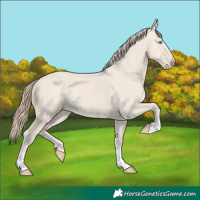 Horse Color:Smoky Creme Dun 