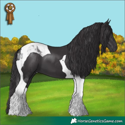 Horse Color:Smoky Black Tobiano 