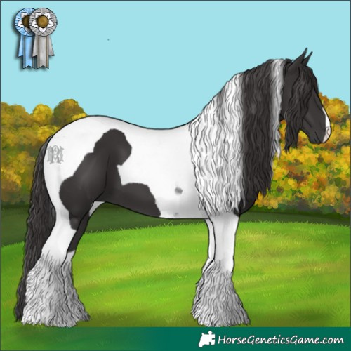 Horse Color:Smoky Black Tobiano 