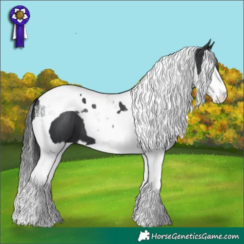 Horse Color:Black Splash Tobiano 
