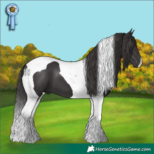 Horse Color:Smoky Black Tobiano 