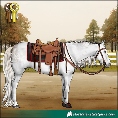 Horse Color:Gray White Spotted Silver Buckskin Blanket Rabicano 