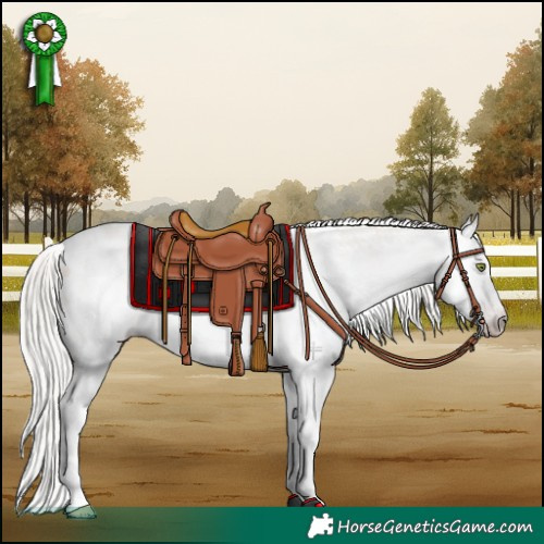 Horse Color:Gray White Spotted Silver Sable Champagne Dun Splash Near Leopard Rabicano 