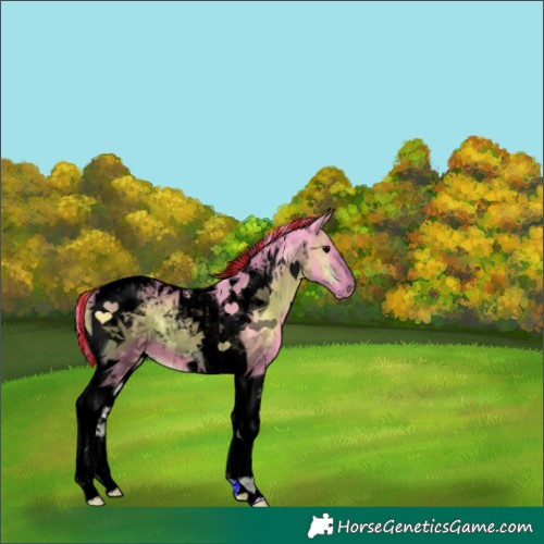 Horse Color:Void Painted Watercolor Blue Onyx Tobiano