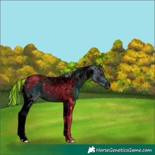 Horse Color:ERROR: UNKNOWN ANOMALY
