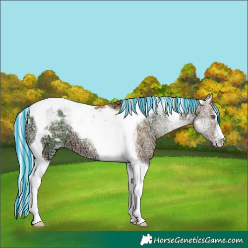 Horse Color:Painted Silver Amber Champagne Ice Onyx Tobiano Appaloosa 