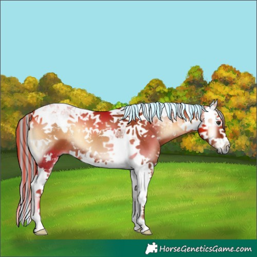 Horse Color:Painted Red Onyx Splash Tobiano 