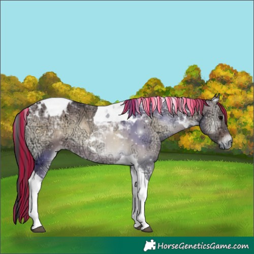 Horse Color:Painted Brown Ice Onyx Tobiano 