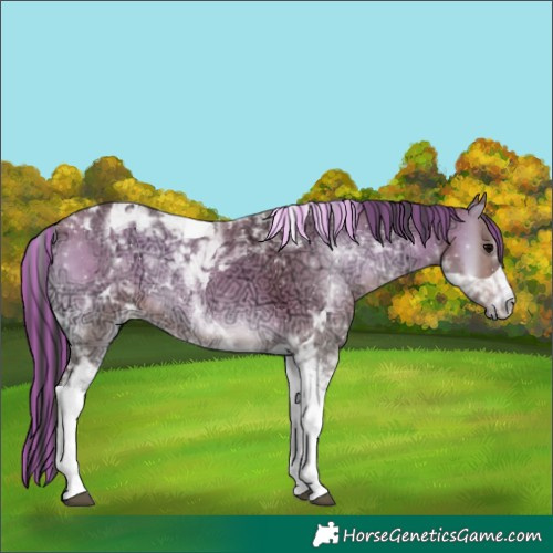 Horse Color:Painted Bay Ice Onyx Tobiano 