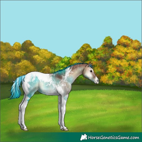 Horse Color:Painted Chocolate Bay Onyx Tobiano 