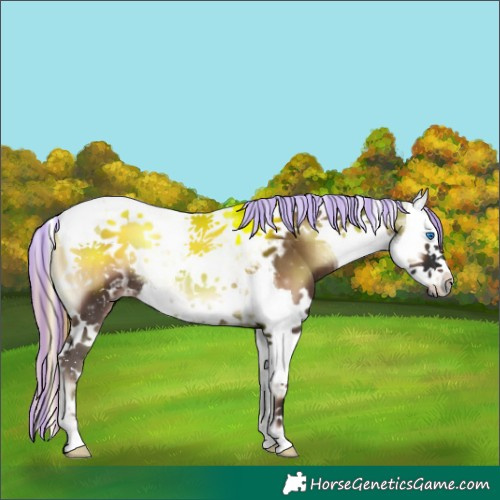 Horse Color:Painted Liver Red Onyx Splash Tobiano 