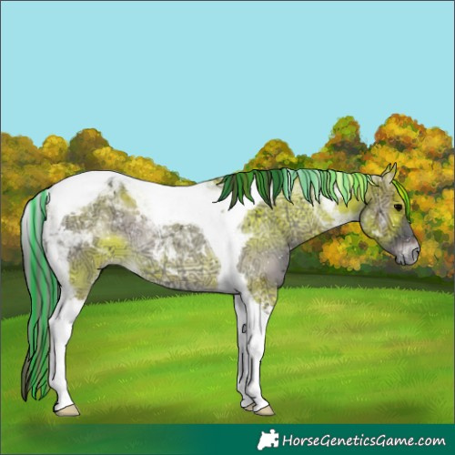 Horse Color:Painted Blue Onyx Ice Tobiano 