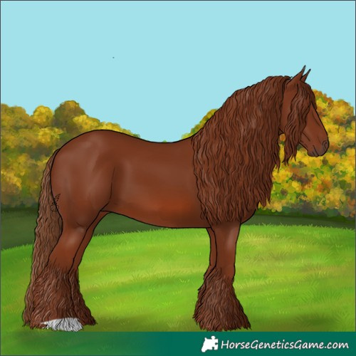 Horse Color:Chestnut 