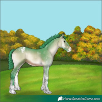 Horse Color:Watercolor Bay Onyx Appaloosa 