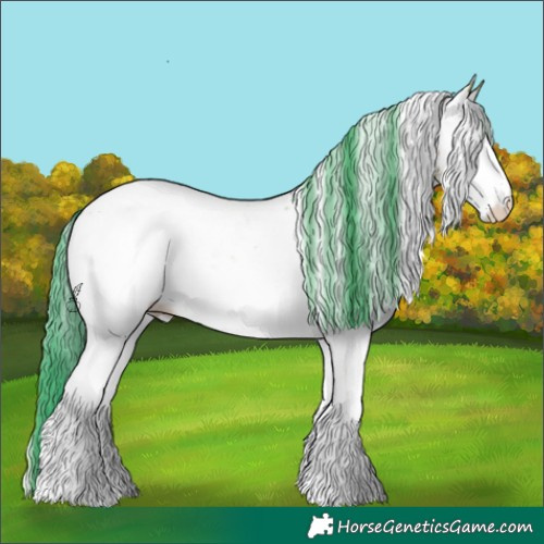 Horse Color:Watercolor White Spotted Bay Onyx Appaloosa 