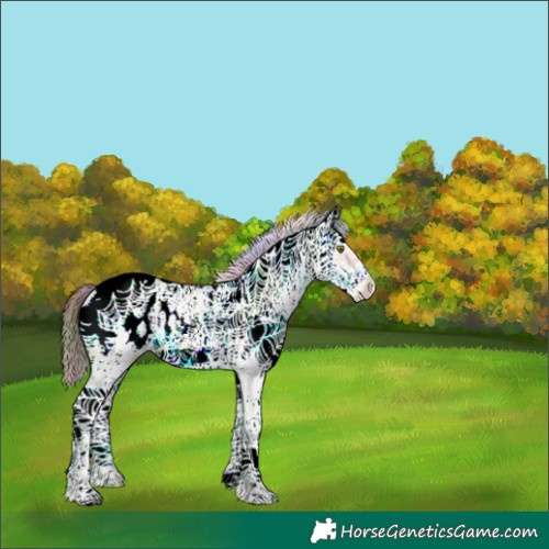 Horse Color:Nacre Classic Champagne Sabino Splash Frame Appaloosa 