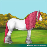Horse Color:Painted Silver Amber Champagne Ice Mushroom Splash Tobiano Appaloosa 