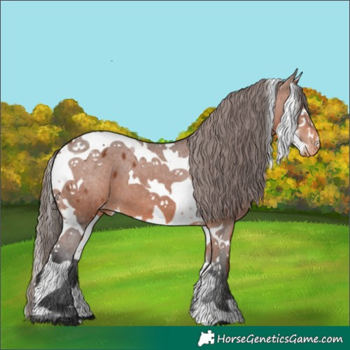 Horse Color:Bay Splash Tobiano Blanket 