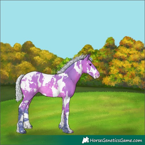 Horse Color:Watercolor Silver Bay Splash Tobiano Blanket Rabicano 