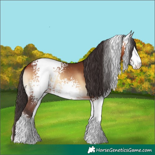 Horse Color:White Spotted Bay Onyx Sabino 