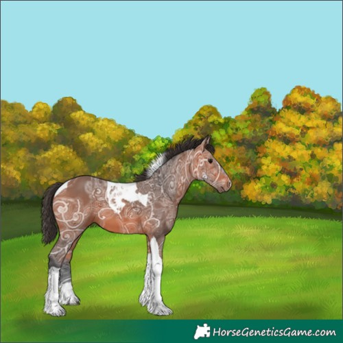 Horse Color:Bay Ice Tobiano 