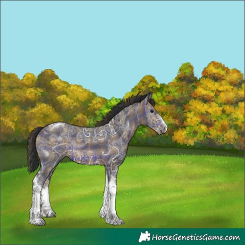 Horse Color:Plaid  White Spotted Brown Ice Tobiano 