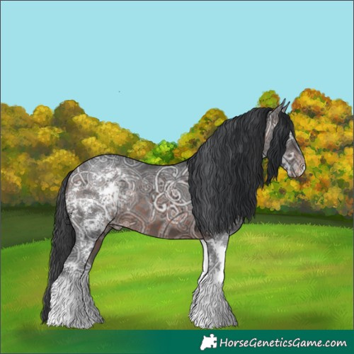 Horse Color:White Spotted Brown Ice 